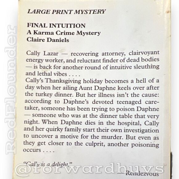 Final Intuition - A Karma Crime Mystery (Large Print Paperback) - Picture 4 of 13